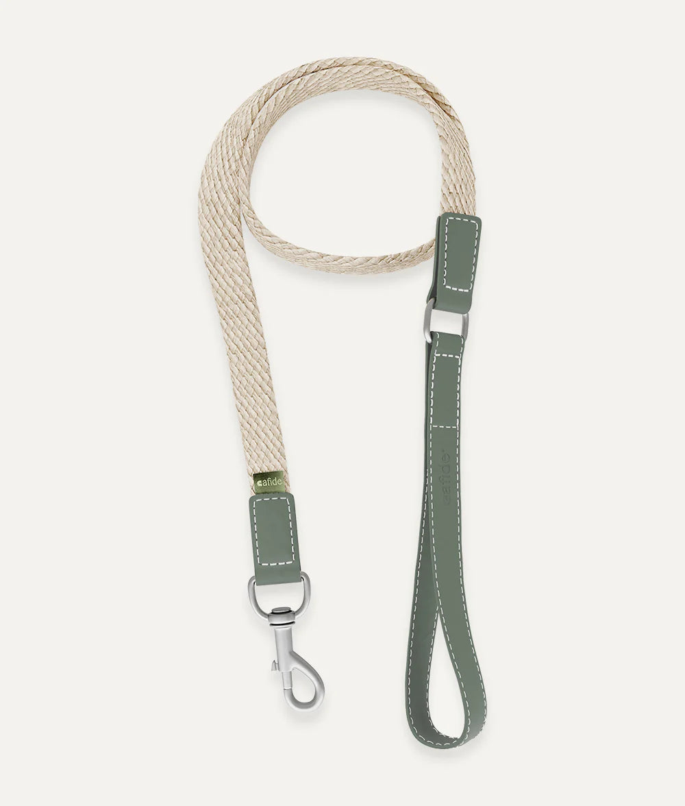 Laisse 1,1m en cuir végan Corda