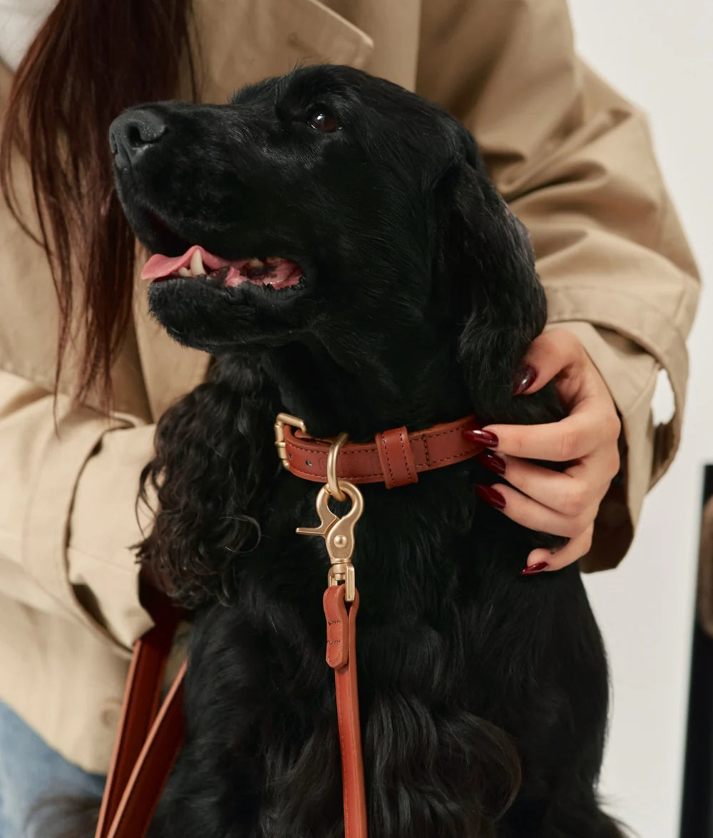 Collier en Cuir Vegan Jala