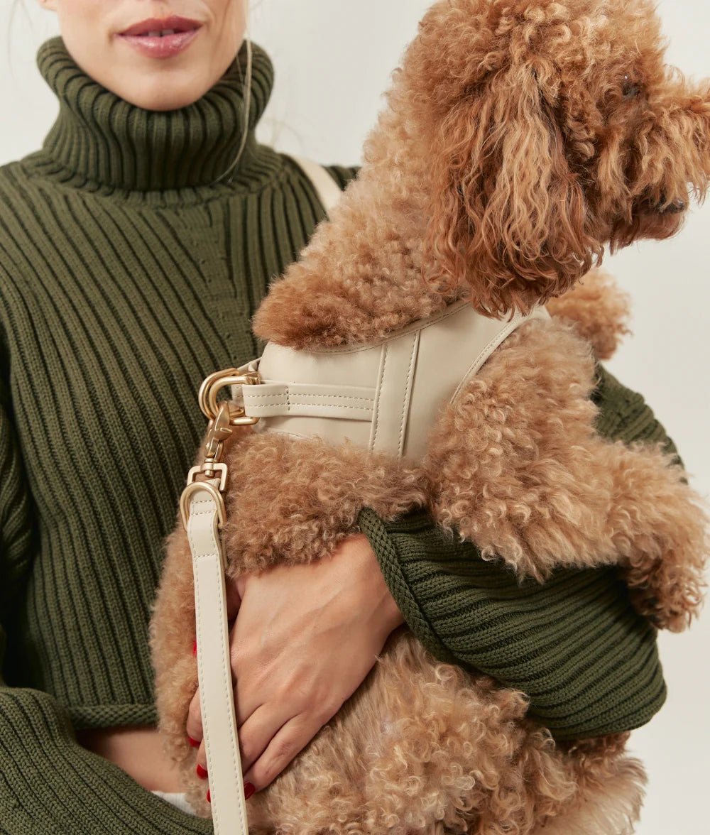 Harnais pour chien en cuir vegan