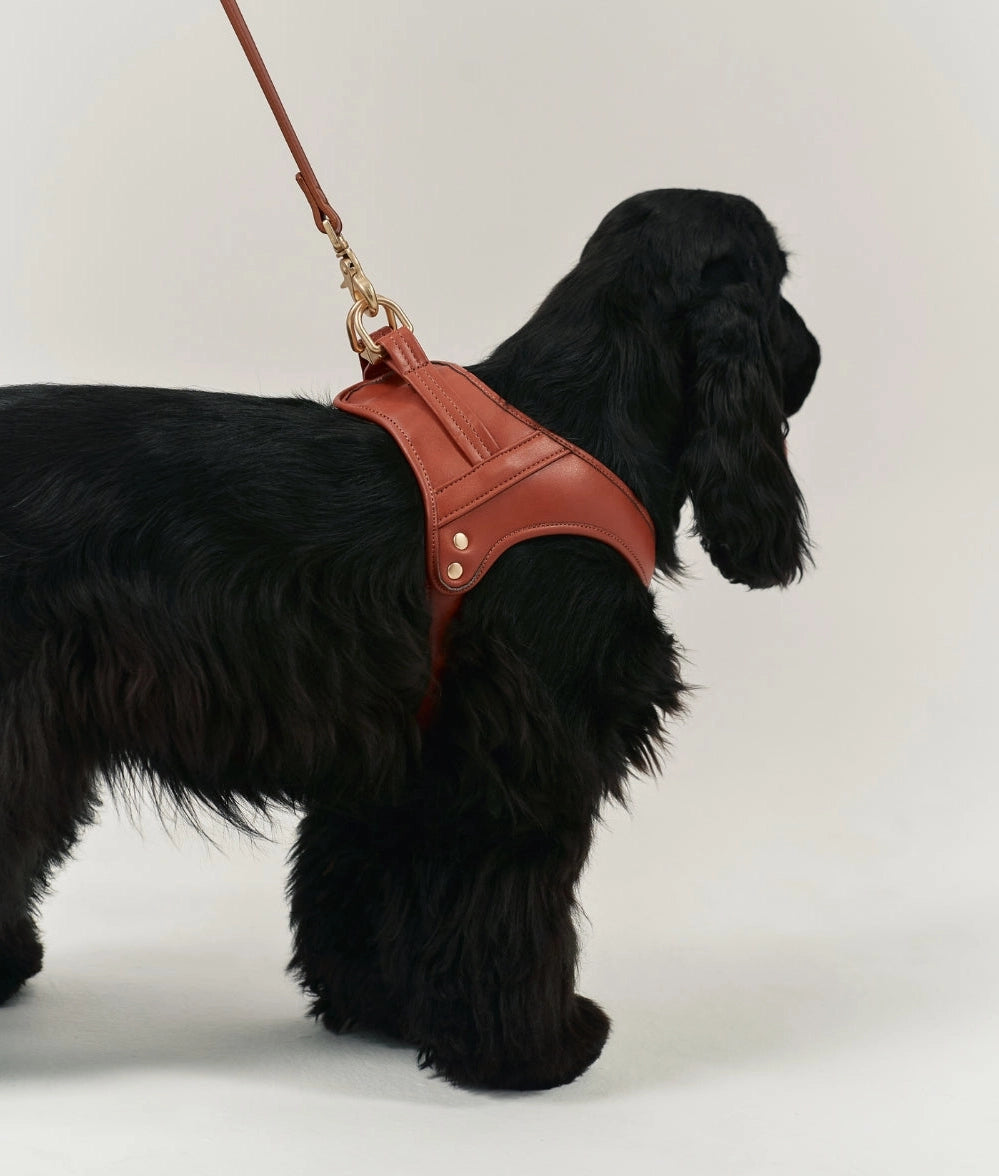 Harnais pour chien en cuir vegan