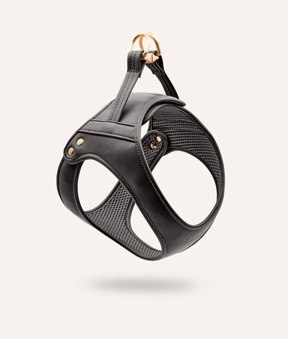 Harnais pour chien en cuir vegan