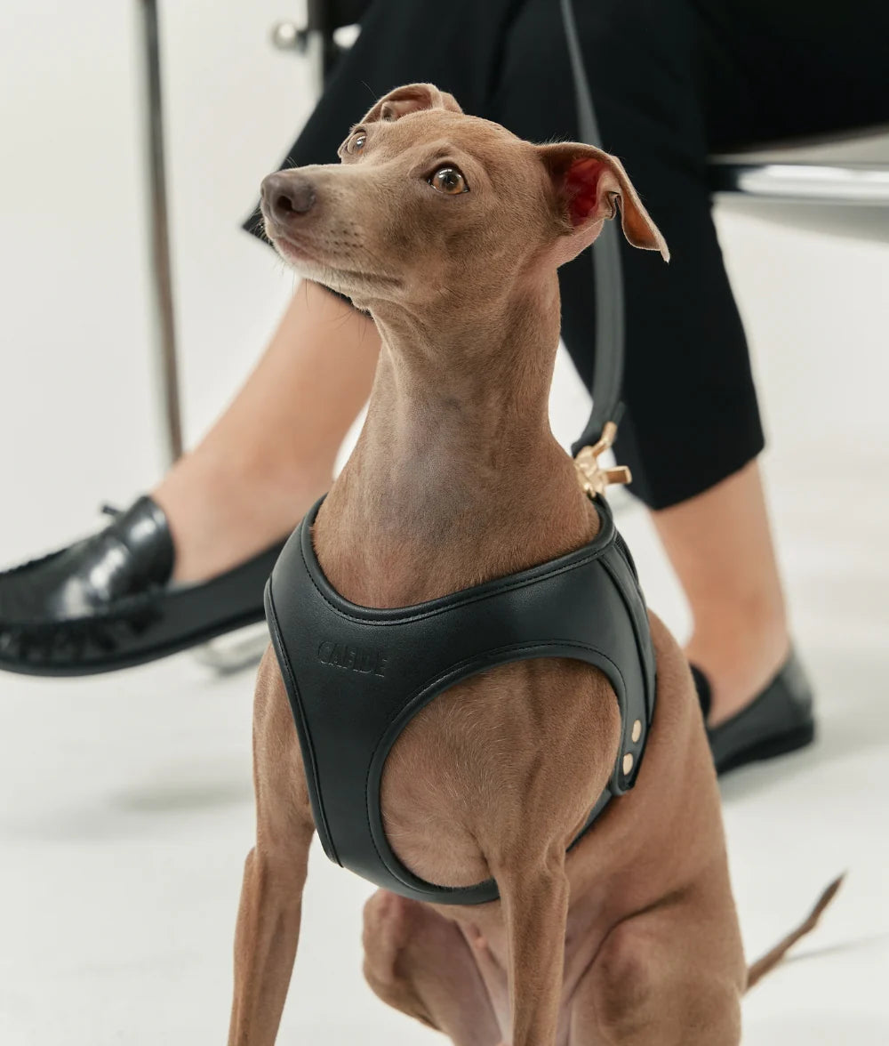 Harnais pour chien en cuir vegan