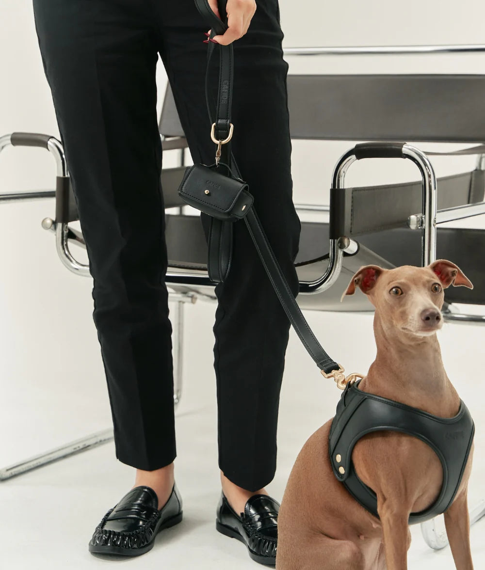 Harnais pour chien en cuir vegan