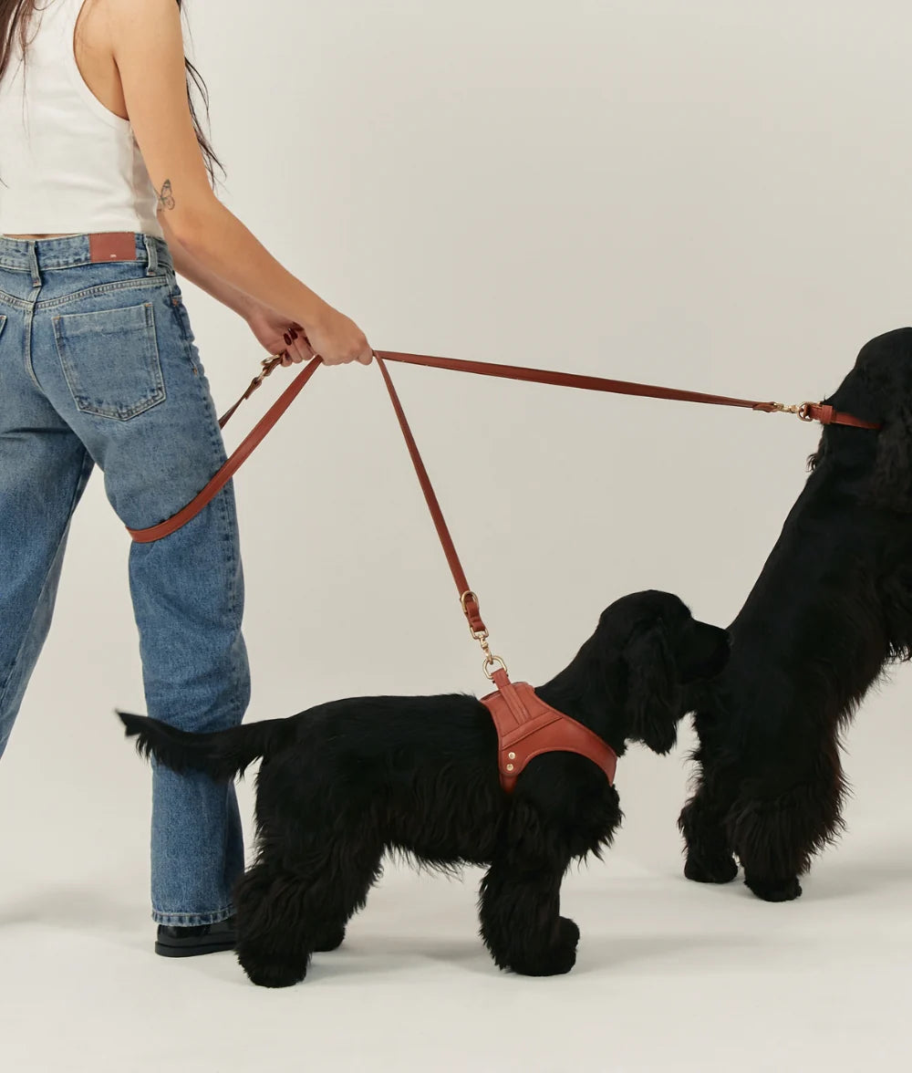 Laisse en Cuir Vegan Multiposition Jala