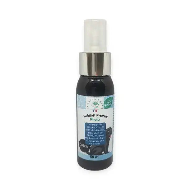 Phyto Haleine Fraîche – Spray Naturel pour une Bouche Saine
