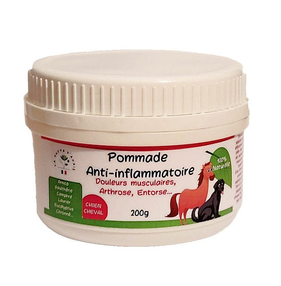 Pommade Anti-inflammatoire Naturelle – Soulagement Articulaire