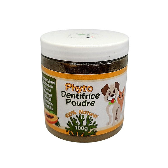 Dentifrice Poudre Naturel