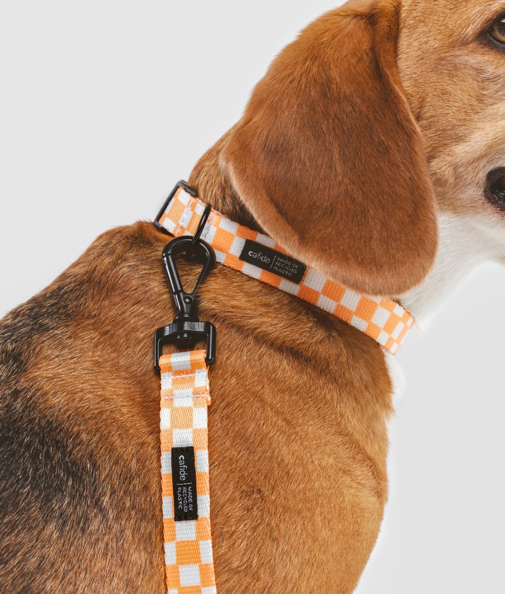 Collier Recyclé Design Juno (plusieurs modèles disponible)