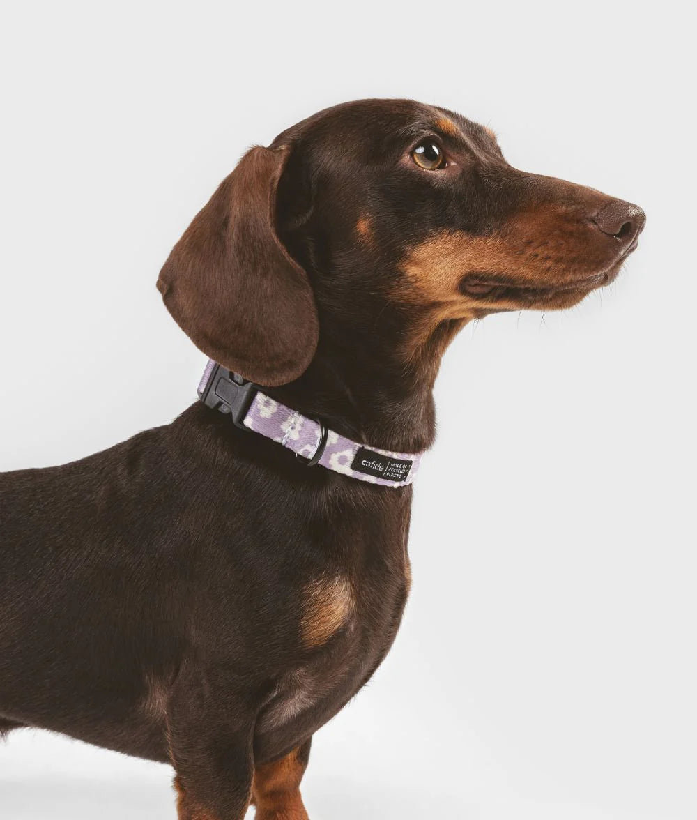 Collier Recyclé Design Juno (plusieurs modèles disponible)