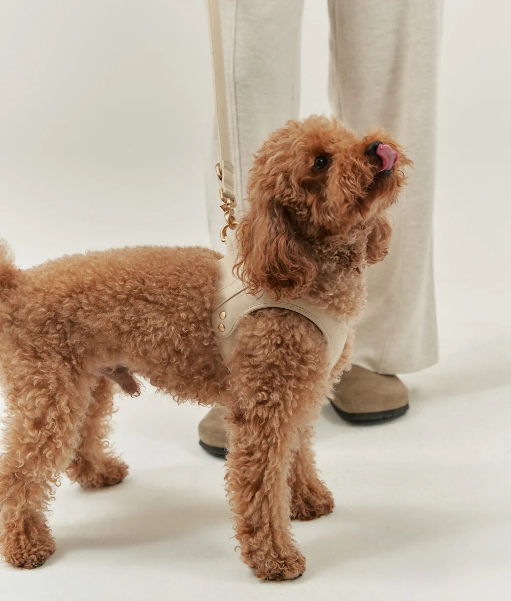Harnais pour chien en cuir vegan