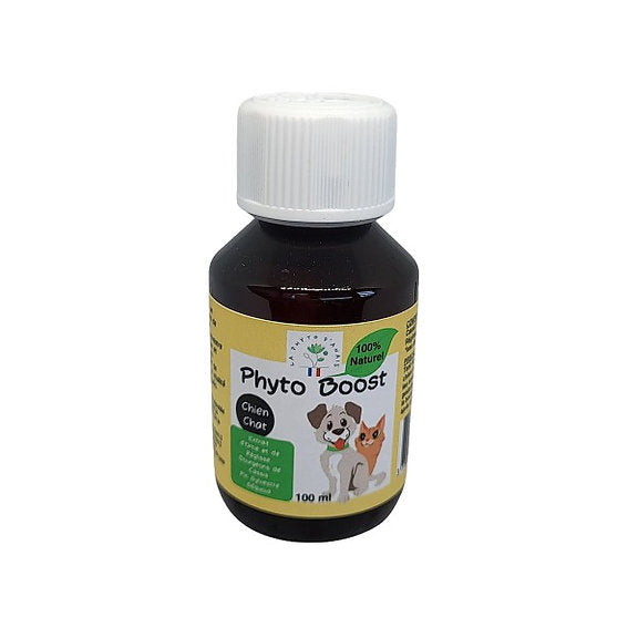 Phyto Boost – Complément Naturel pour la Vitalité