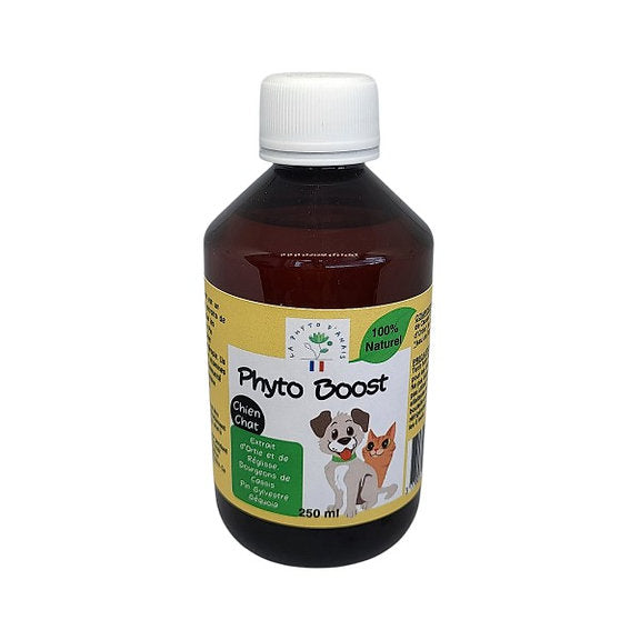 Phyto Boost – Complément Naturel pour la Vitalité
