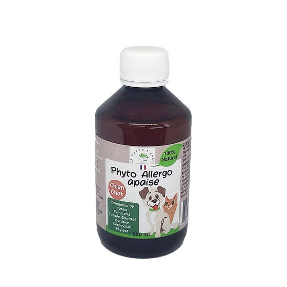 Phyto Allergo – Complément Alimentaire
