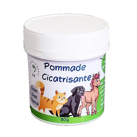 Pommade Réparatrice et Cicatrisante Naturelle