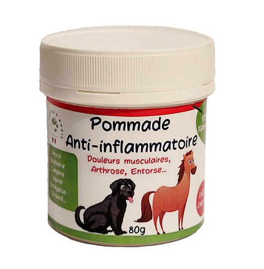 Pommade Anti-inflammatoire Naturelle – Soulagement Articulaire